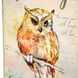 Книги сейф із кодовим замком Owl 26 см 2355726505 фото 2