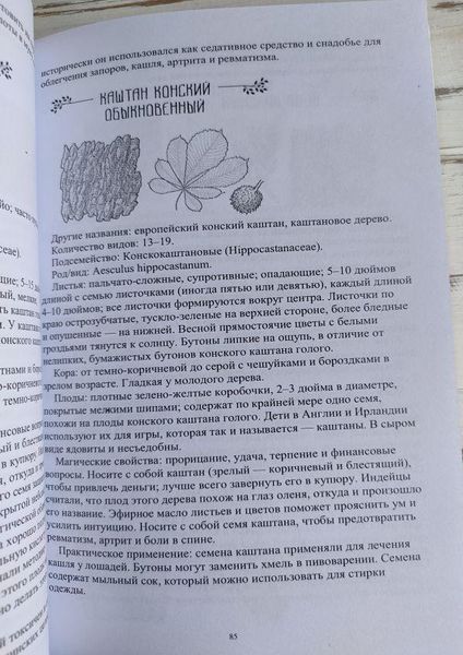 Книга Брюер Грегорі "Давня магія дерев" 1913482345 фото