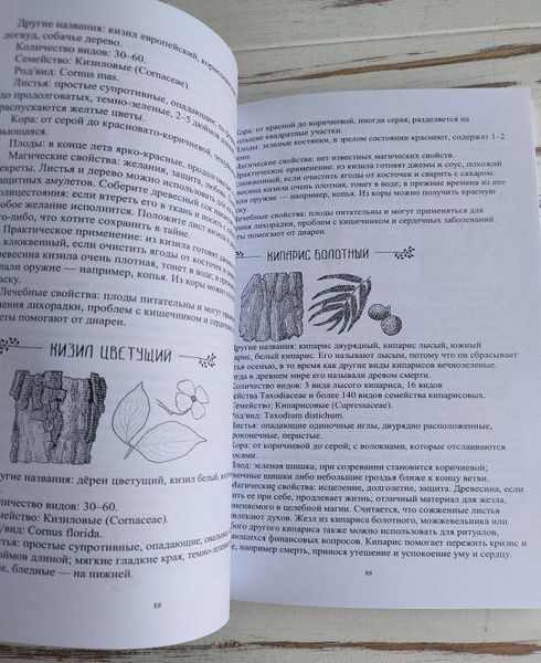 Книга Брюер Грегорі "Давня магія дерев" 1913482345 фото
