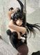 Фигурка Девушка кролик на шесте Pole Dance Rabbit Girl 18+ 30см CH PDRG 30 CH TSP S 30 фото 2