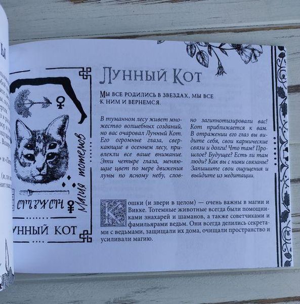 Набір таро Вікканський Оракул Тіней Арабо Саргсян 1898486964 фото