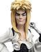 Фигурка Weta Workshop Лабиринт Девид Боуи / Джарет Labyrinth David Bowie / Jareth 17 см L DB J 01 L DB J 01 фото 7