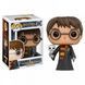 Фигурка Funko Pop Фанко Поп Гарри Поттер Harry Potter HP WN 31 2853020608 фото 1