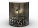 Кружка GeekLand Fantastic Beasts Фантастические твари постер FB.02.002 FB.02.002 фото 1