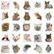 Стікерпак Котики Набір наклейок GeekLand Kitties 50 штук 2881874845 фото 3