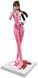 Фигурка Sega&nbsp;Premium Figure Макинами Мари Евангелион Makinami Mari Evangelion 25см&nbsp;WST EV MM 267 WST EV MM 267 фото 1