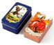 Карты Таро Ведьма каждый день Everyday Witch Tarot в металлической коробке 2569389279 фото 1