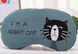 Маска для сна Night cat blue 2355725114 фото 1