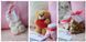 Подарунковий набір TeddyBear 2355720197 фото 3
