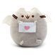 Мягкая игрушка Пушин ангел Pusheen 15 см CH PH 04 1941314247 фото 1