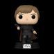Фигурка Фанко Поп Звездные Войны Люк Скайуокер Funko Pop Star Wars Luke Skywalker FP SW LS 605 2661513996 фото 2
