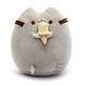 М'яка іграшка Пушин із морозивом Pusheen 15 см CH PH 05 1941314248 фото 1