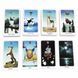 Карти Таро Душі Світу (Anima Mundi Tarot) 3171052434 фото 4