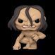 Фигурка Funko Pop Фанко Поп Attack on Titan Атака титанов Ymir Имир 10 см AT YT 1168 AT YT 1168 фото 2