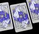 Карты Таро Белого Божества White Numen Tarot в металлической коробке 2515654132 фото 3