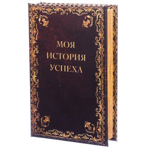 Книга сейф История успеха 26см 2355725128 фото