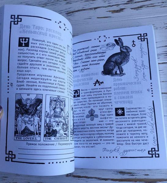 Книга Арабо Саргсян "Вікка: Книга тіней" 2320683059 фото