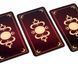 Карти Таро Божевільного Місяця Deviant moon Tarot 10.2х6 см 2531709894 фото 5