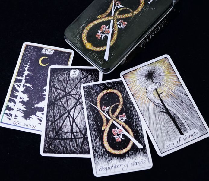 Карти Дике невидиме Таро Wild Unknown Tarot у металевій коробці 2515654136 фото