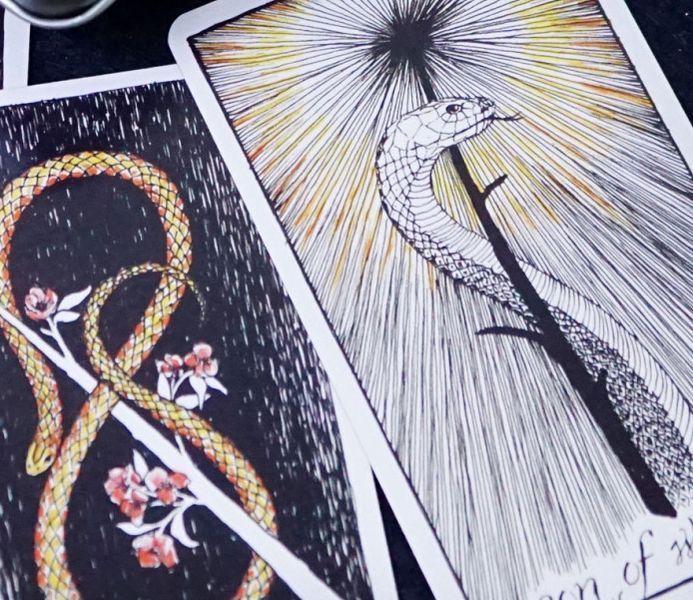 Карти Дике невидиме Таро Wild Unknown Tarot у металевій коробці 2515654136 фото