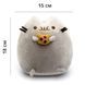 Мягкая игрушка Пушин с печенькой Pusheen 18 см P 004 1830385532 фото 2