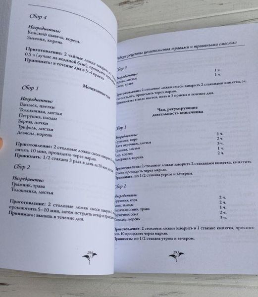 Книга "Большая книга целительных трав. Магия ароматов" Раокриом 1861894260 фото
