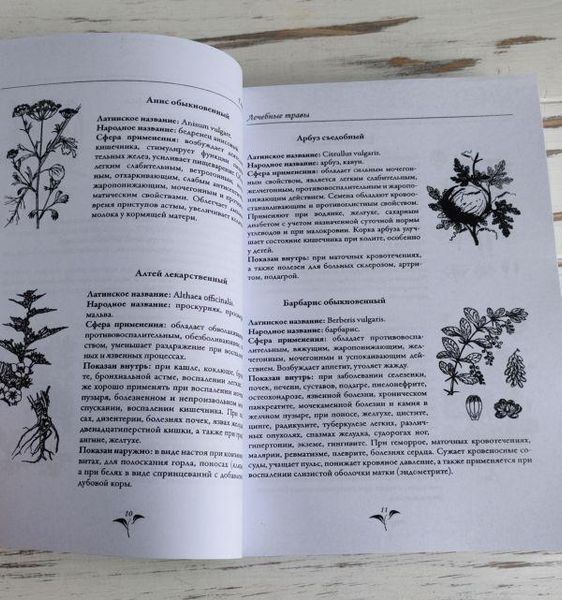 Книга "Большая книга целительных трав. Магия ароматов" Раокриом 1861894260 фото