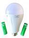 Лампа аварийная с 2 аккумуляторами 20 watt 6800-7300k 1971653288 фото 1