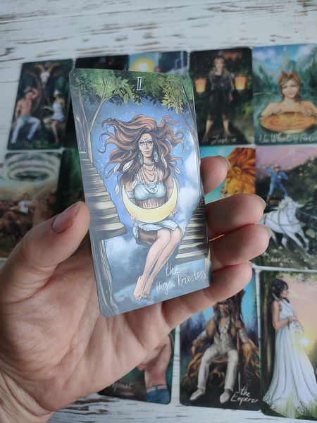 Таро Дикі Відображення Wild reflections tarot 6х10 см у металевій коробці 2633858242 фото