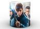 Кружка GeekLand Fantastic Beasts Фантастические твари постер FB.02.001 FB.02.001 фото 1
