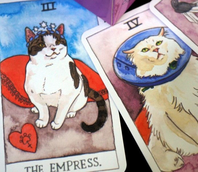 Карти Таро Кішок Cat Tarot 10.2х6 см 2569389071 фото