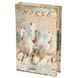 Книги сейф із кодовим замком Horse 26 см 2355726504 фото 1