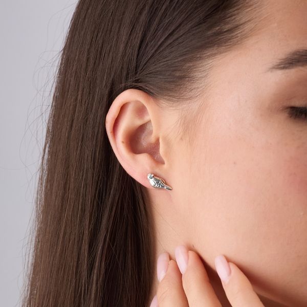 Сережки пусети срібні у формі птиці Соловейко Amethyst 925 Zirkon 2508339946 фото