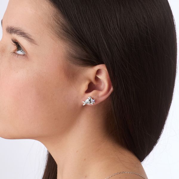 Сережки пусети срібні у формі птиці Соловейко Amethyst 925 Zirkon 2508339946 фото