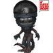 Фигурка Funko Pop Чужой Ромул Чужой Alien Romulus Scorched Xenomorph 15 см FP AR SX 1617 FP AR SX 1617 фото 2