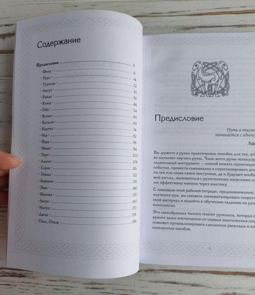 Книга Корбут Ольга "Руны. Книга Теней" 1913481747 фото